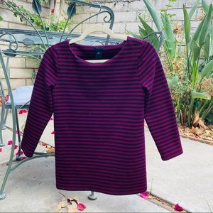 Ann Taylor Burgundy and Navy Sweater